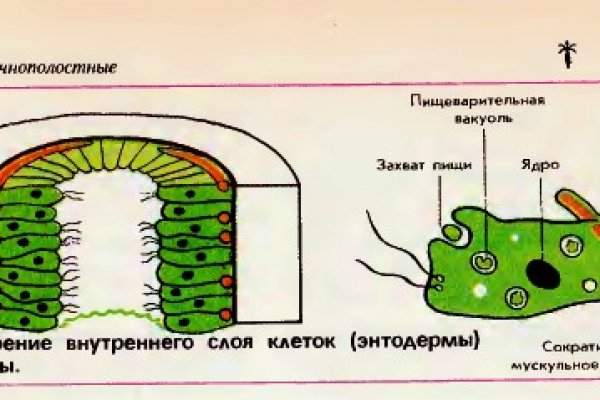 Ссылки на сайты в даркнете