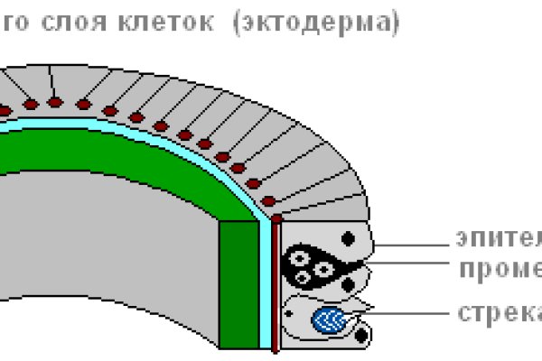 Скачать кракен тор