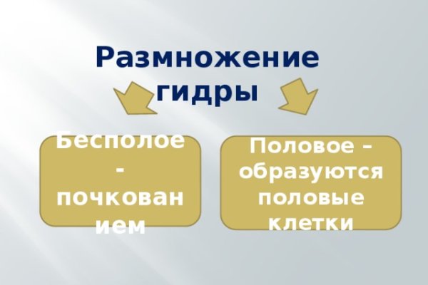 Кракен сайт kr2web